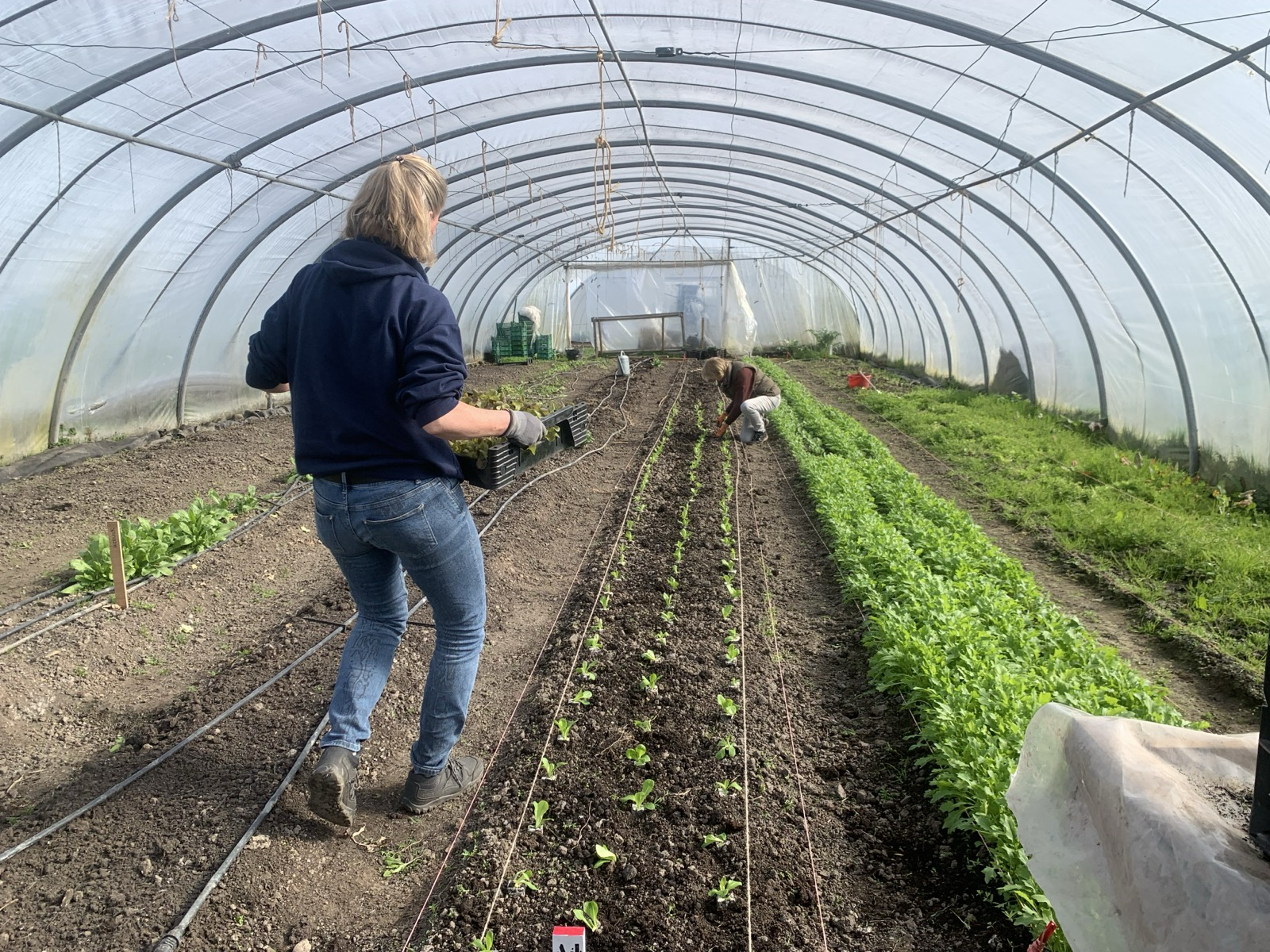 Featured image for “Eerste open dag op 11 april 2026”